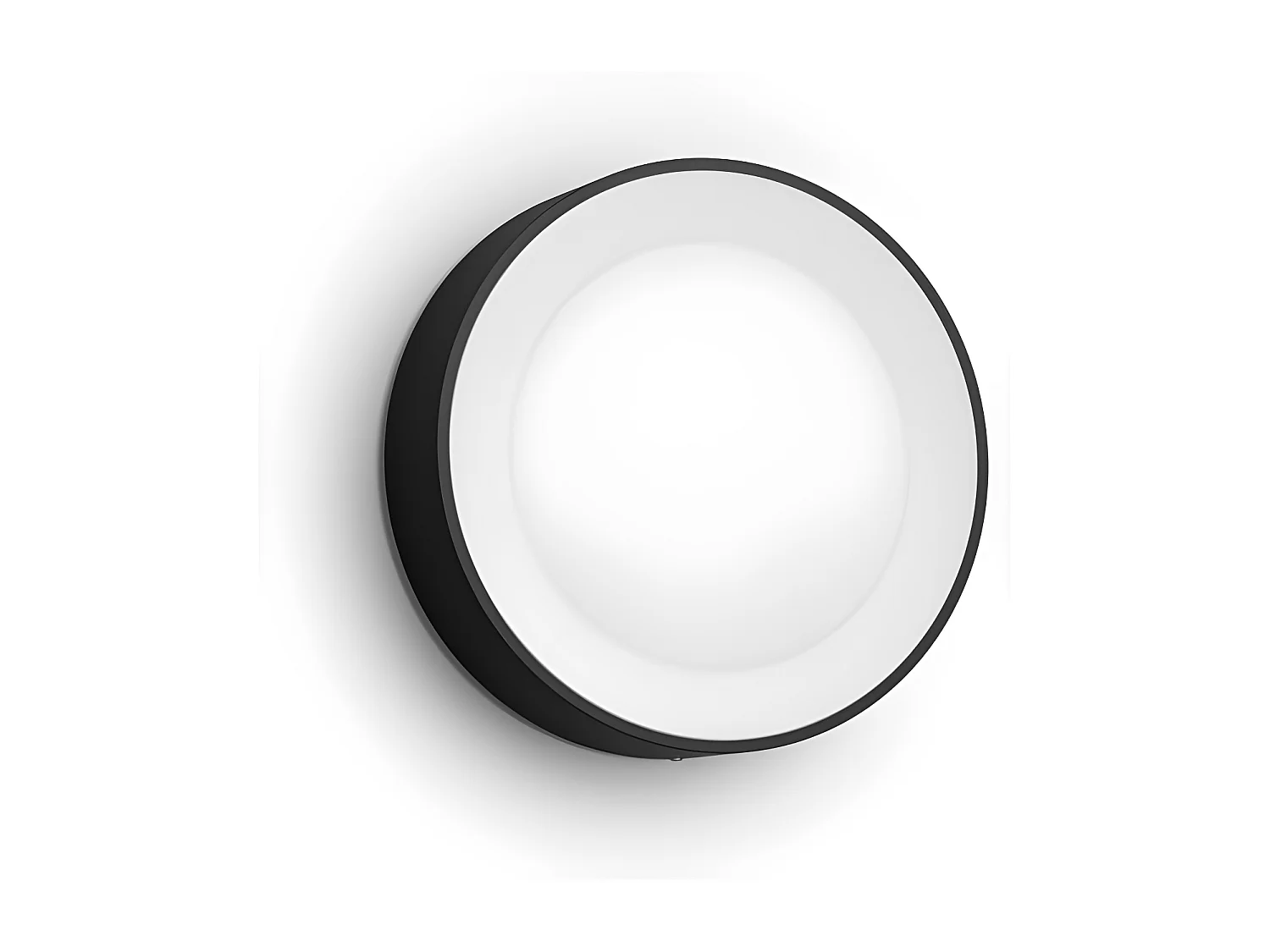 Applique Murale LED Extérieure White Color Daylo 15W  Hue Noir