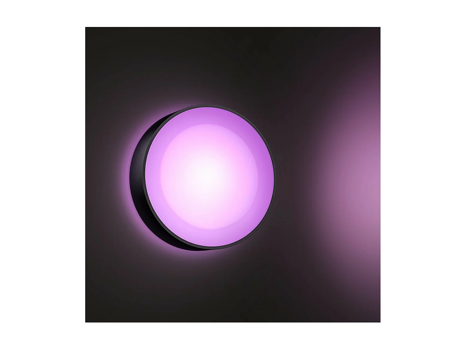 Applique da Parete LED White Color per Esterni 15W Hue Daylo Nero