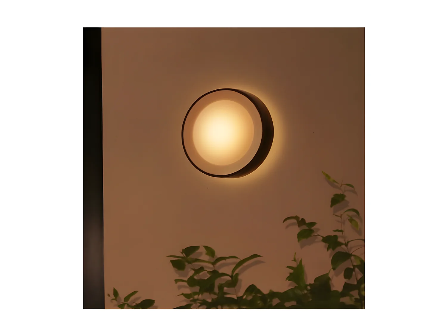 Applique da Parete LED White Color per Esterni 15W Hue Daylo Nero