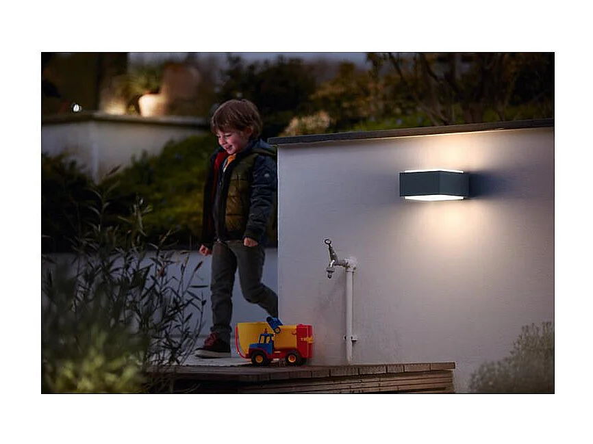 Applique Murale Extérieure  Hedgehog Double Éclairage Anthracite