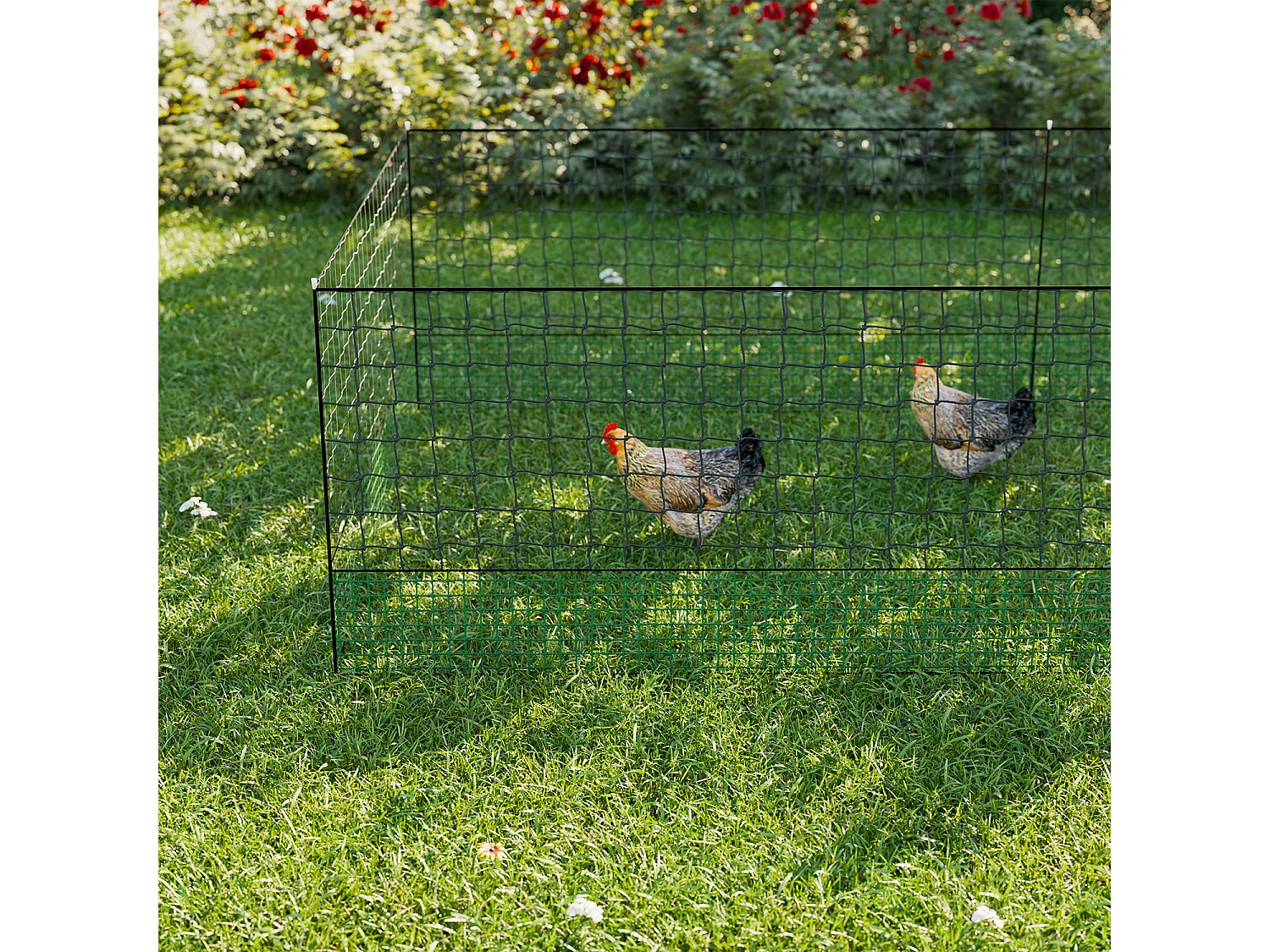 Kit filet  clôtures pour poules 24m avec 8 piquets double pointes. modulable. porte d'accès. sardines incluses