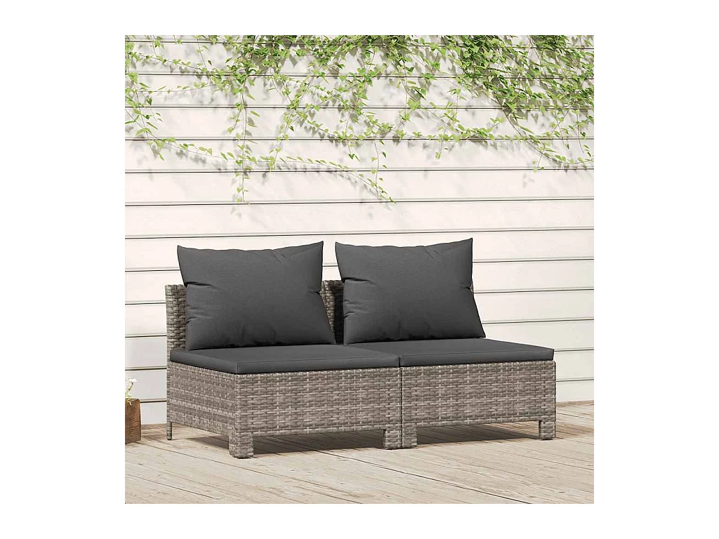 Canapé de jardin 2 places avec coussins Gris Résine tressée