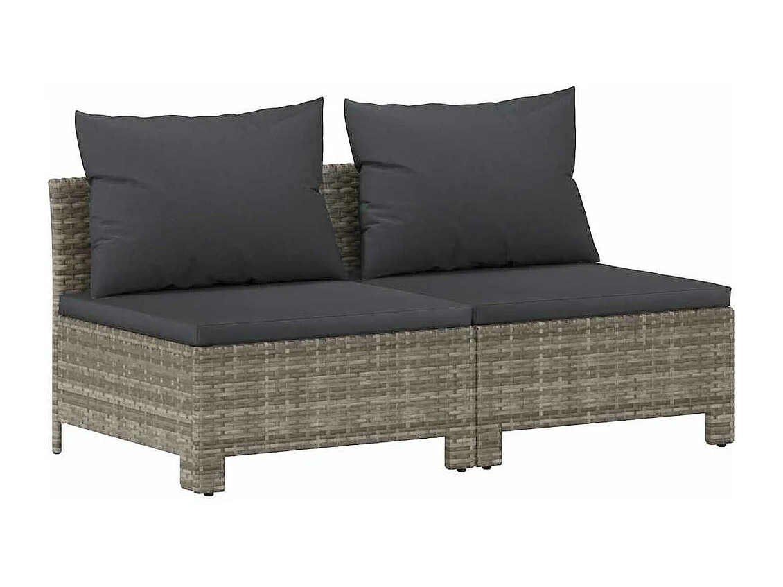 Canapé de jardin 2 places avec coussins Gris Résine tressée