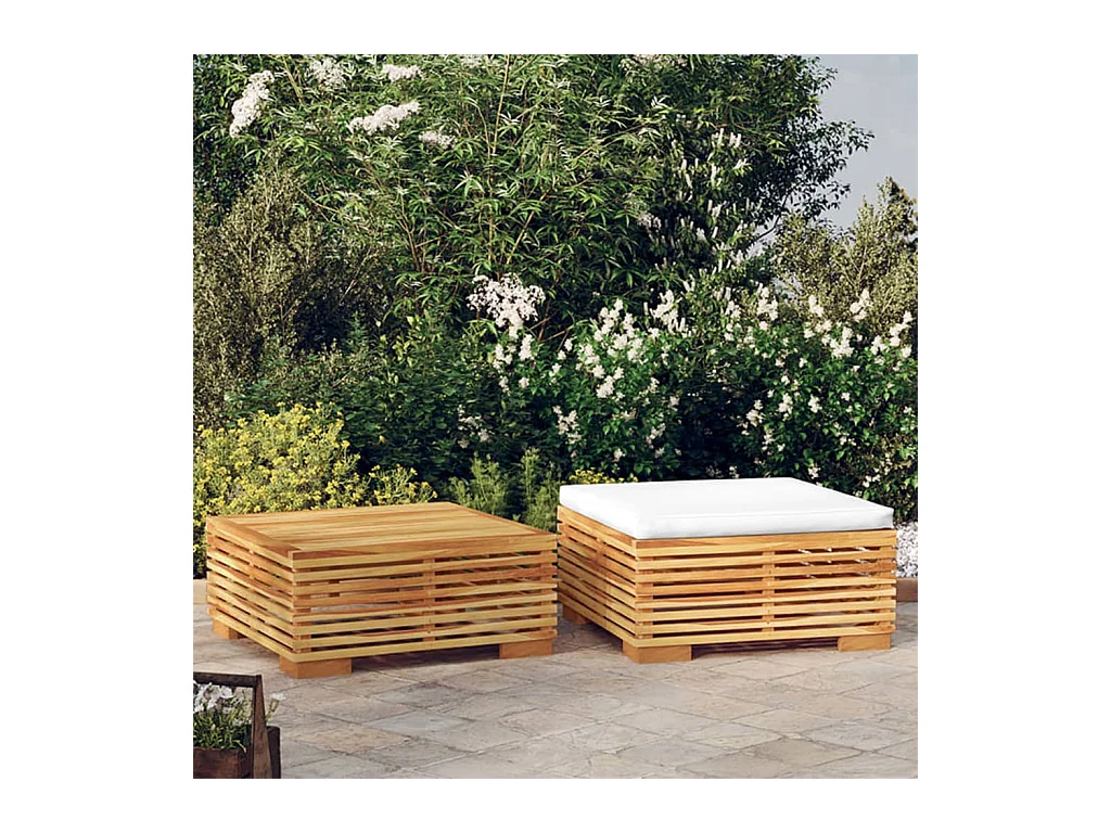 Salon de jardin 2 pcs Bois de teck massif