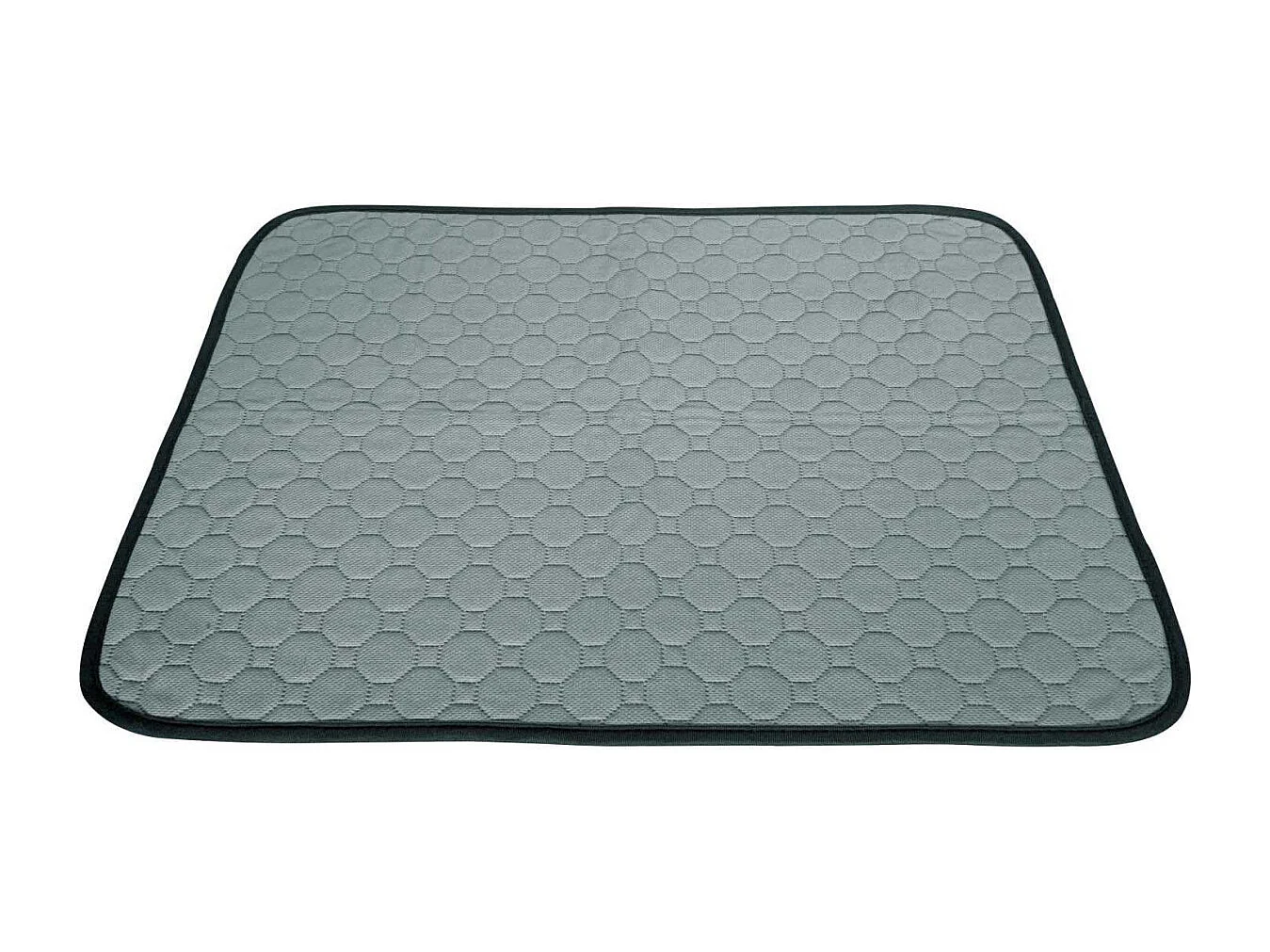 Tapis de propreté absorbant et lavable S - 60 x 40 cm