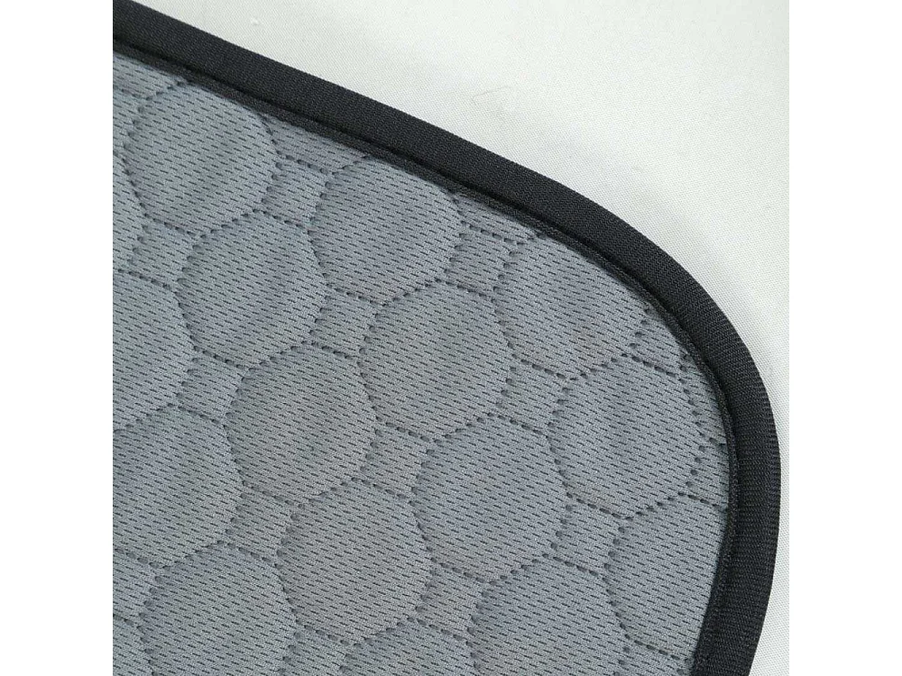 Tapis de propreté absorbant et lavable S - 60 x 40 cm