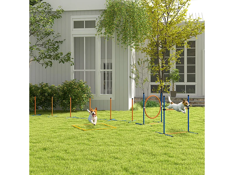 Kit d'agilité complet pour chien - slalom, anneau de saut, haies et accessoires