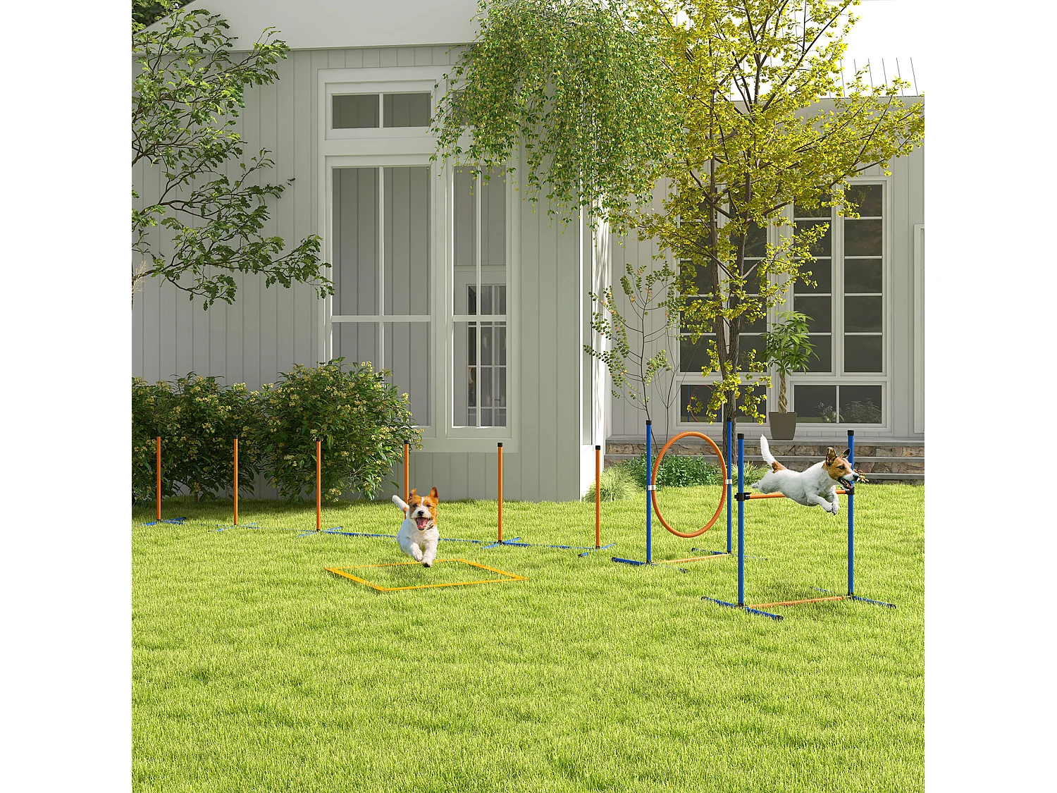 Kit d'agilité complet pour chien - slalom, anneau de saut, haies et accessoires