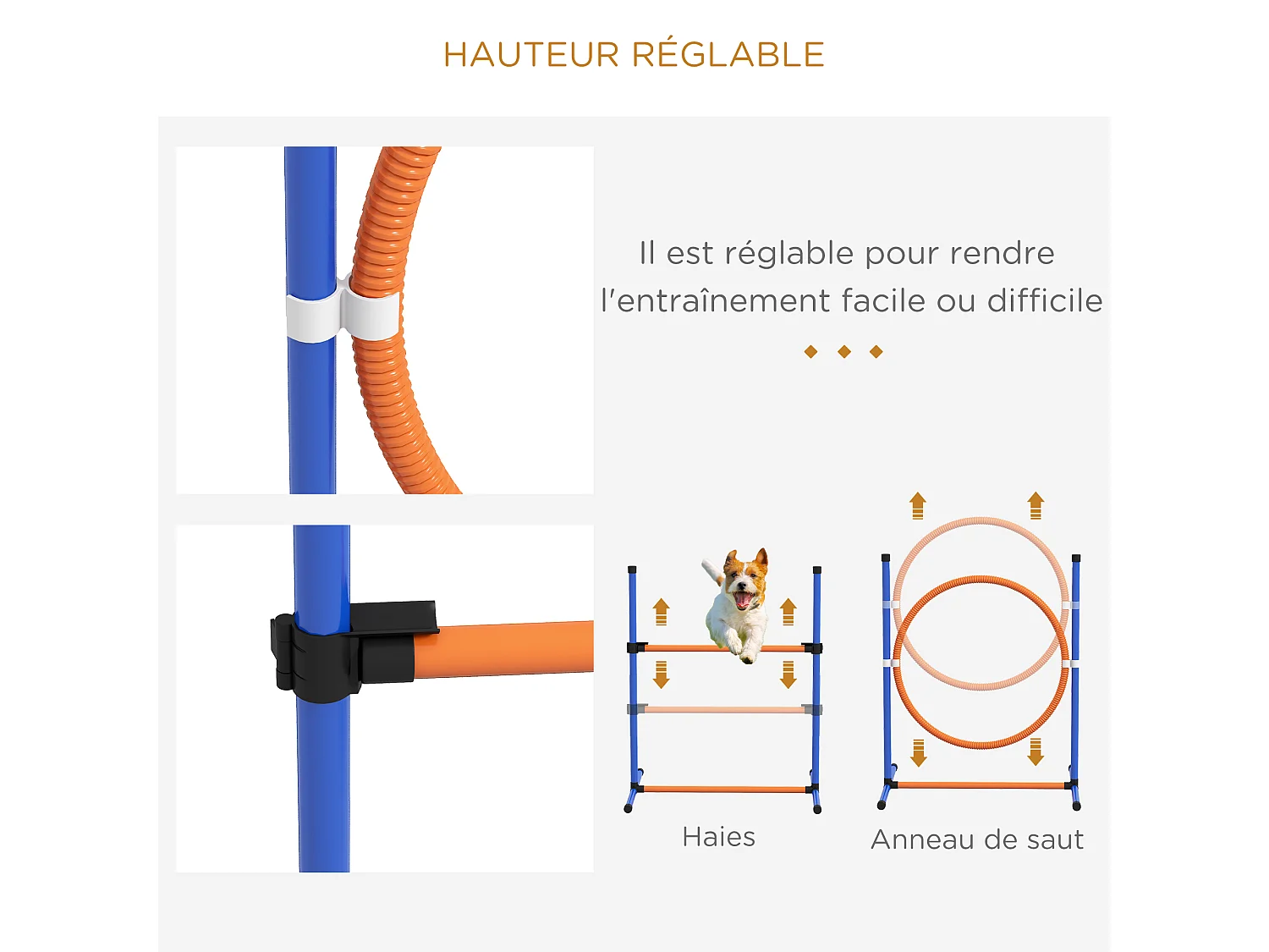Kit d'agilité complet pour chien - slalom, anneau de saut, haies et accessoires
