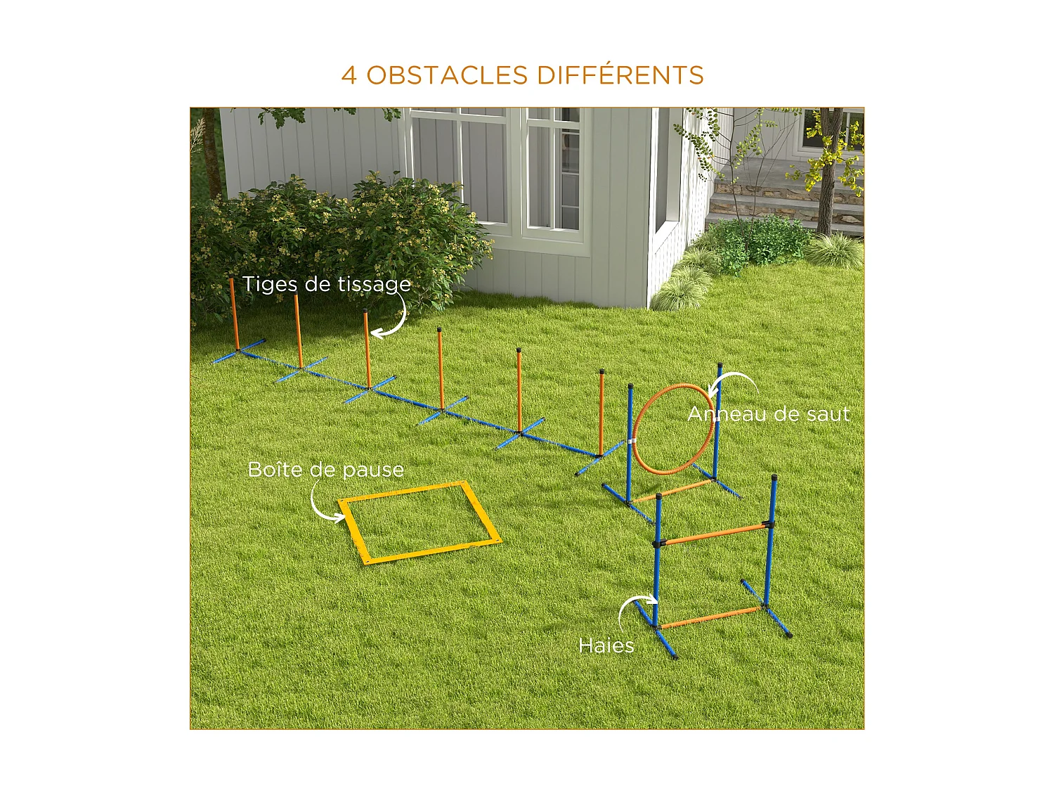 Kit d'agilité complet pour chien - slalom, anneau de saut, haies et accessoires