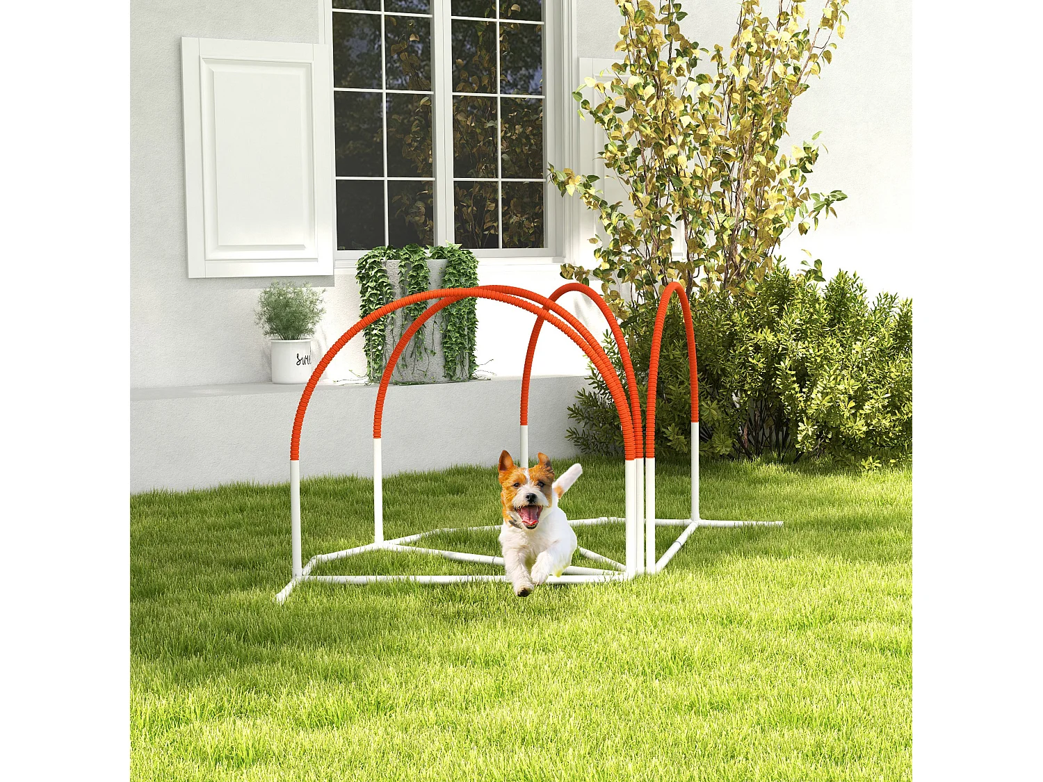 Kit d'agilité pour chien 4 pièces - hooper agility - arceaux entrainement, obstacle, sac de transport inclus