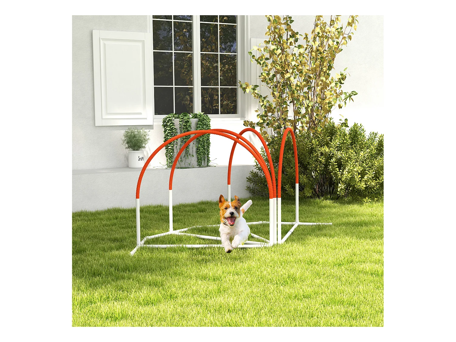 Kit d'agilité pour chien 4 pièces - hooper agility - arceaux entrainement, obstacle, sac de transport inclus