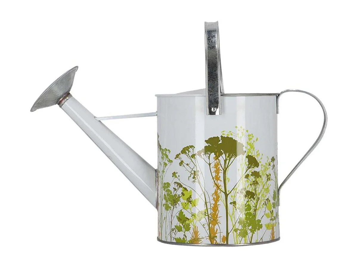 Arrosoir en métal Herbe Extérieur