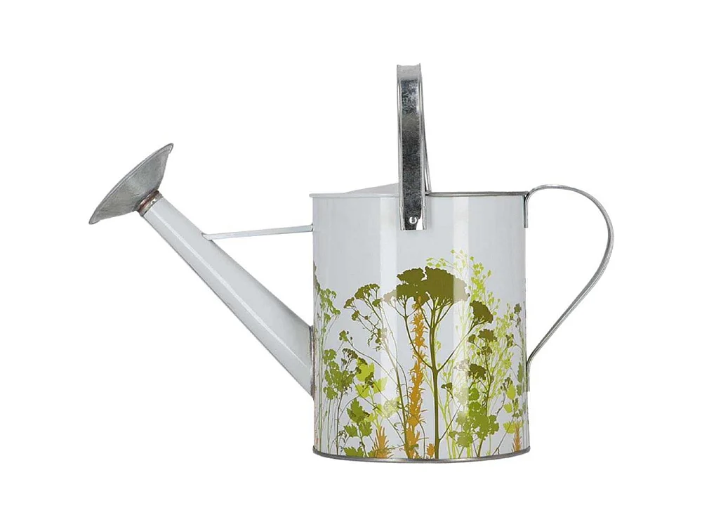 Arrosoir en métal Herbe Extérieur