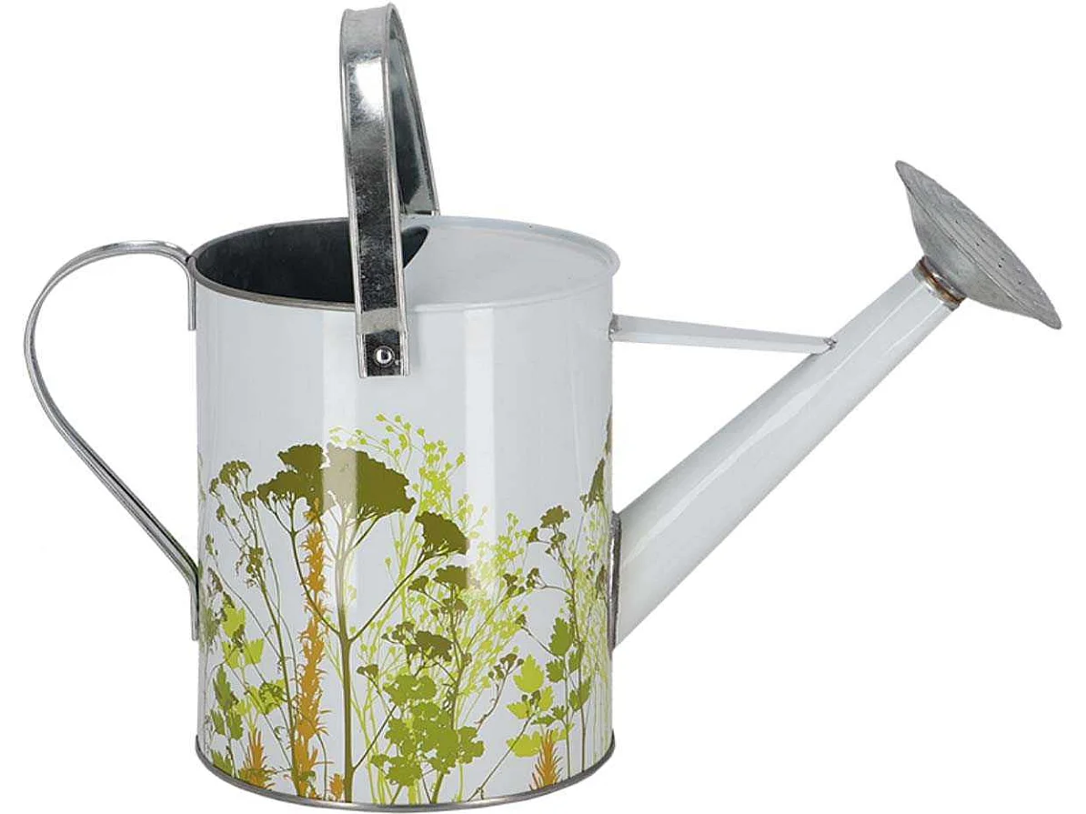 Arrosoir en métal Herbe Extérieur