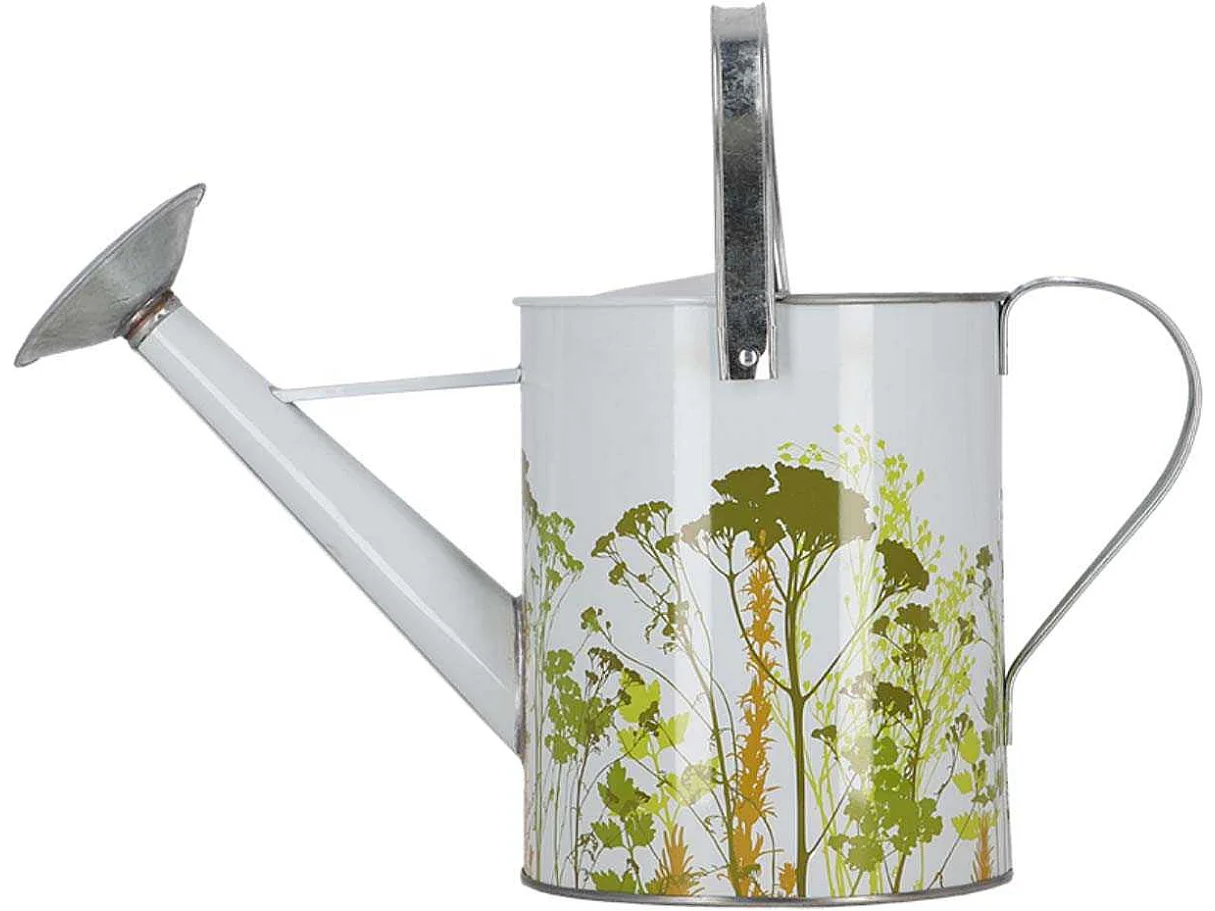Arrosoir en métal Herbe Extérieur