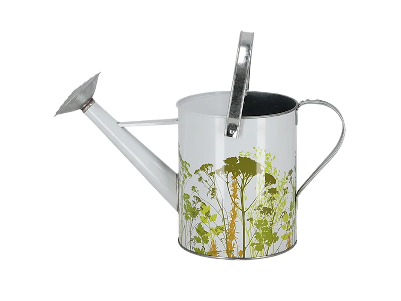 Arrosoir en métal Herbe Extérieur