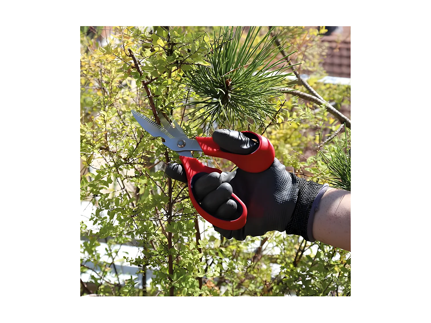 Tuinschaar 4 in 1 Spear & Jackson - Multifunctioneel Gereedschap voor Keuken en Buitenactiviteiten