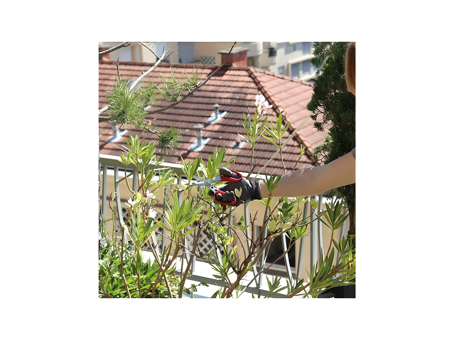 Mehrzweck-Gartenschere 19cm Spear & Jackson - Sauberer und bequemer Schnitt