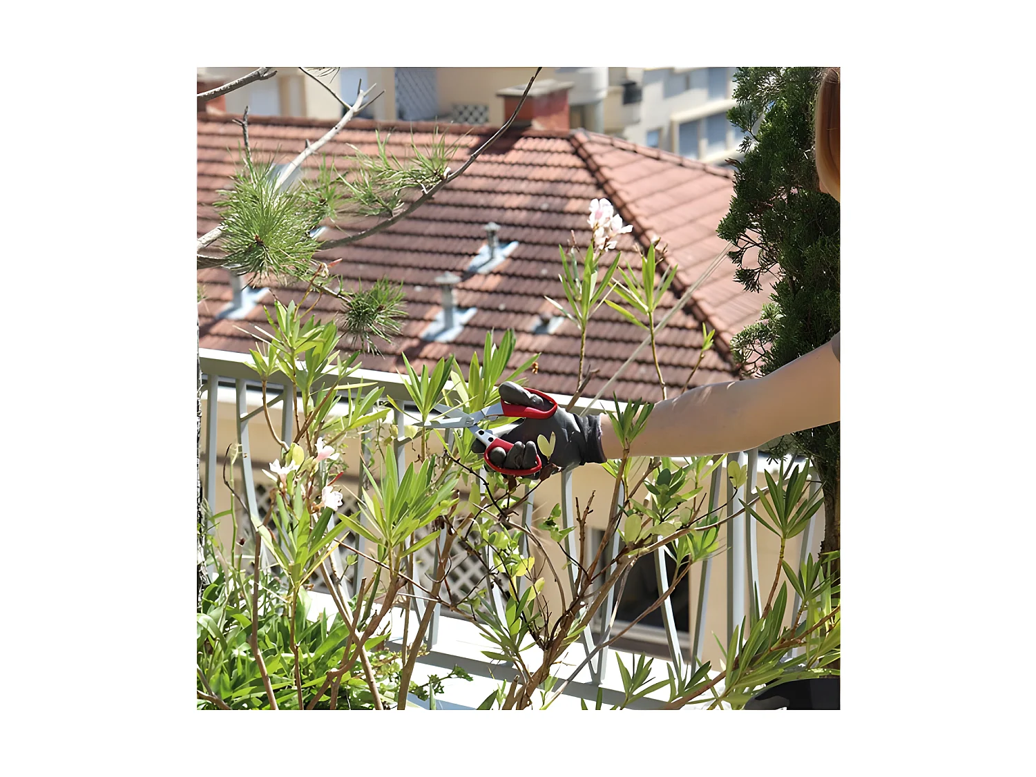 Ciseaux de Jardin Multi Usages 19cm Spear & Jackson - Coupe Nette et Confortable