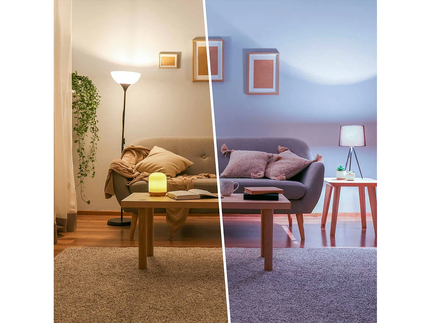 Confezione da 40 Lampadine LED GU5.3 Faretto 8W Equi.60W 700lm Raydan Home