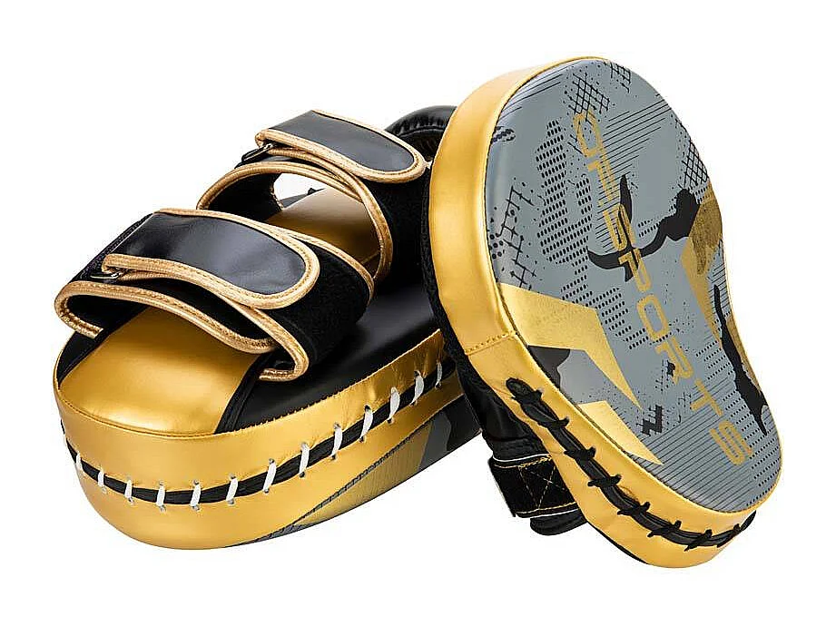 Set d'entrainement de boxe gris et or Arena Gants de 10 oz