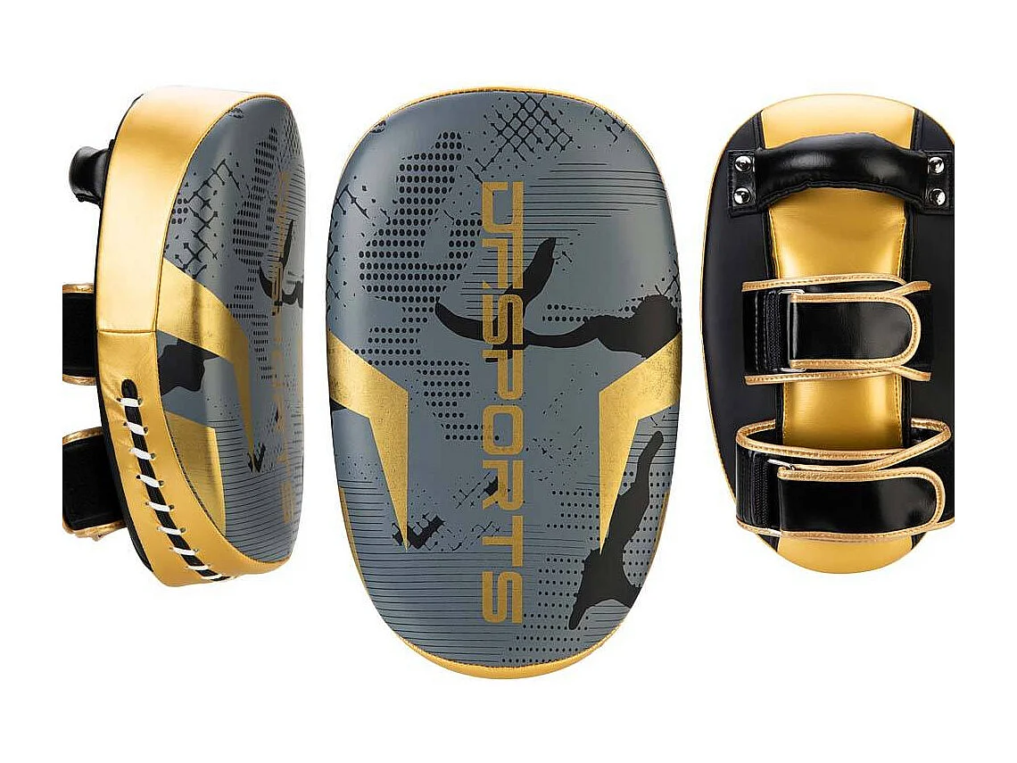 Set d'entrainement de boxe gris et or Arena Gants de 10 oz