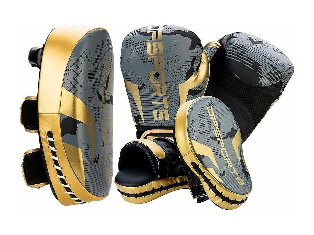 Set d'entrainement de boxe gris et or Arena Gants de 12 oz