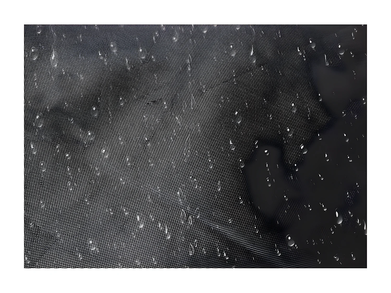 Carpas Plegables 3x3 - Carpa 3x3 Leader - Negro