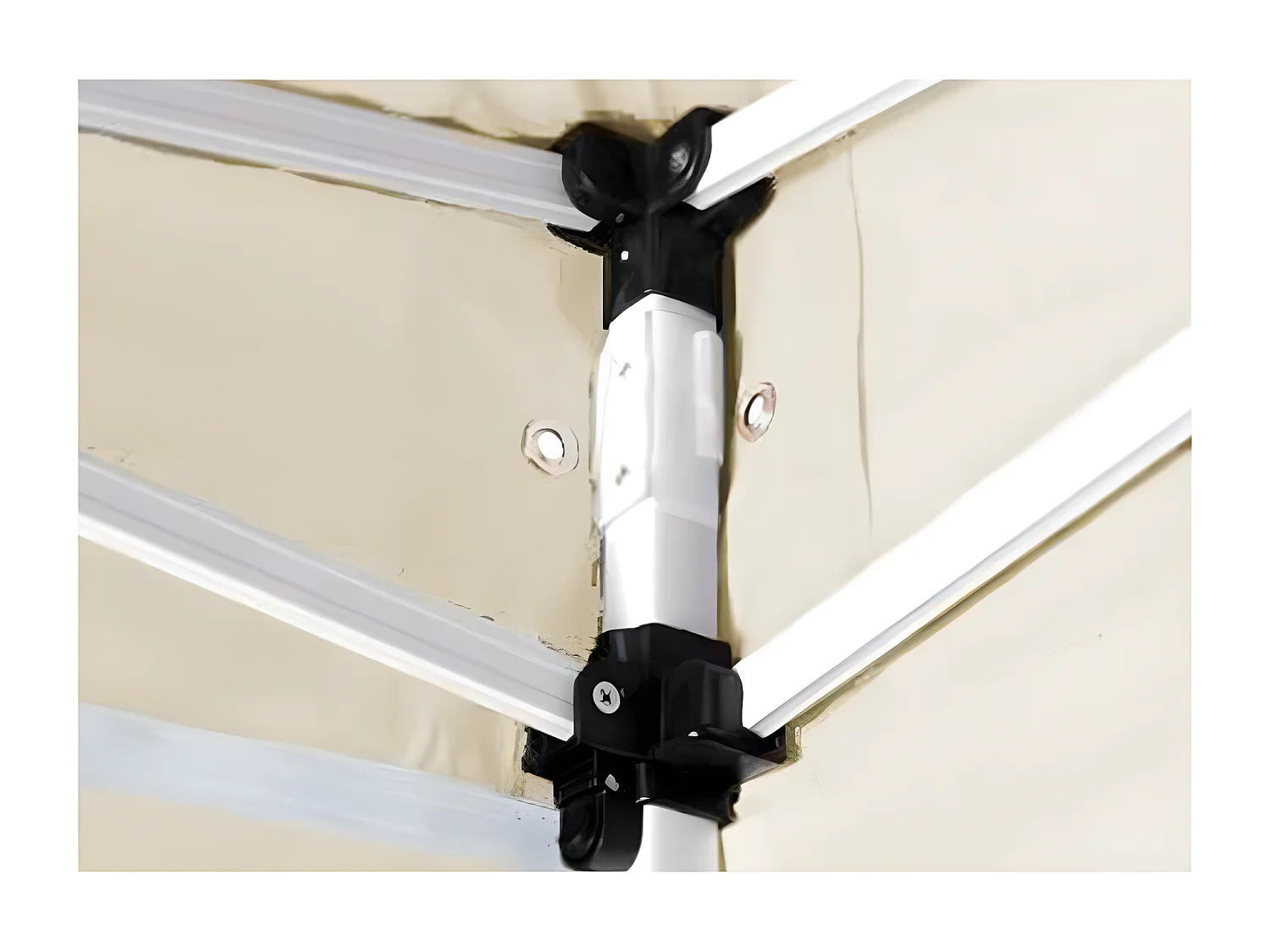 Carpa 2x2 Master (Kit Completo) - Crema