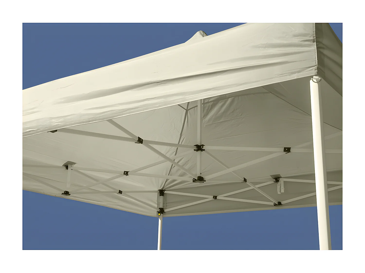 Carpas Plegables 3x3 - Carpa 3x3 Leader - Crema