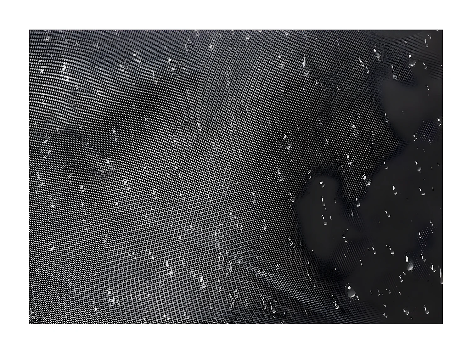 Carpa Plegable 2x2 Master - Negro - Impermeable - Cenador ideal para Camping, Eventos, Playa, Jardín