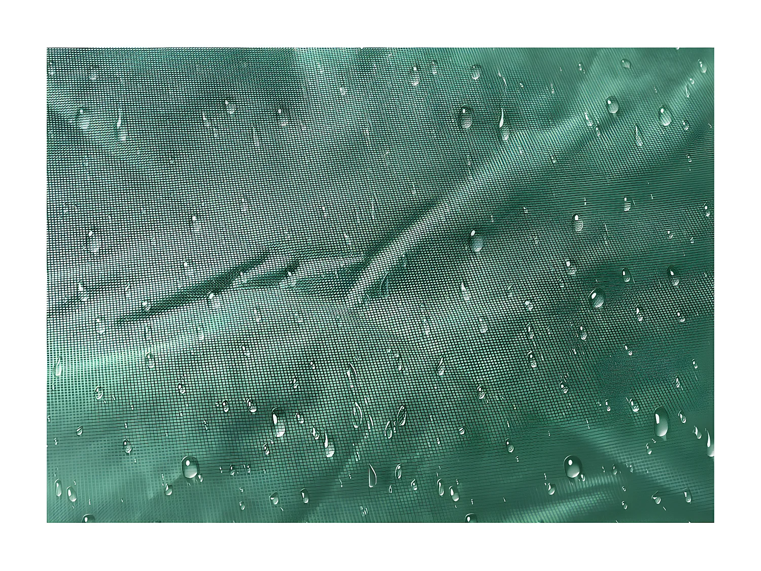 Carpa Plegable 2x2 Master - Verde - Impermeable - Cenador ideal para Camping, Eventos, Playa, Jardín