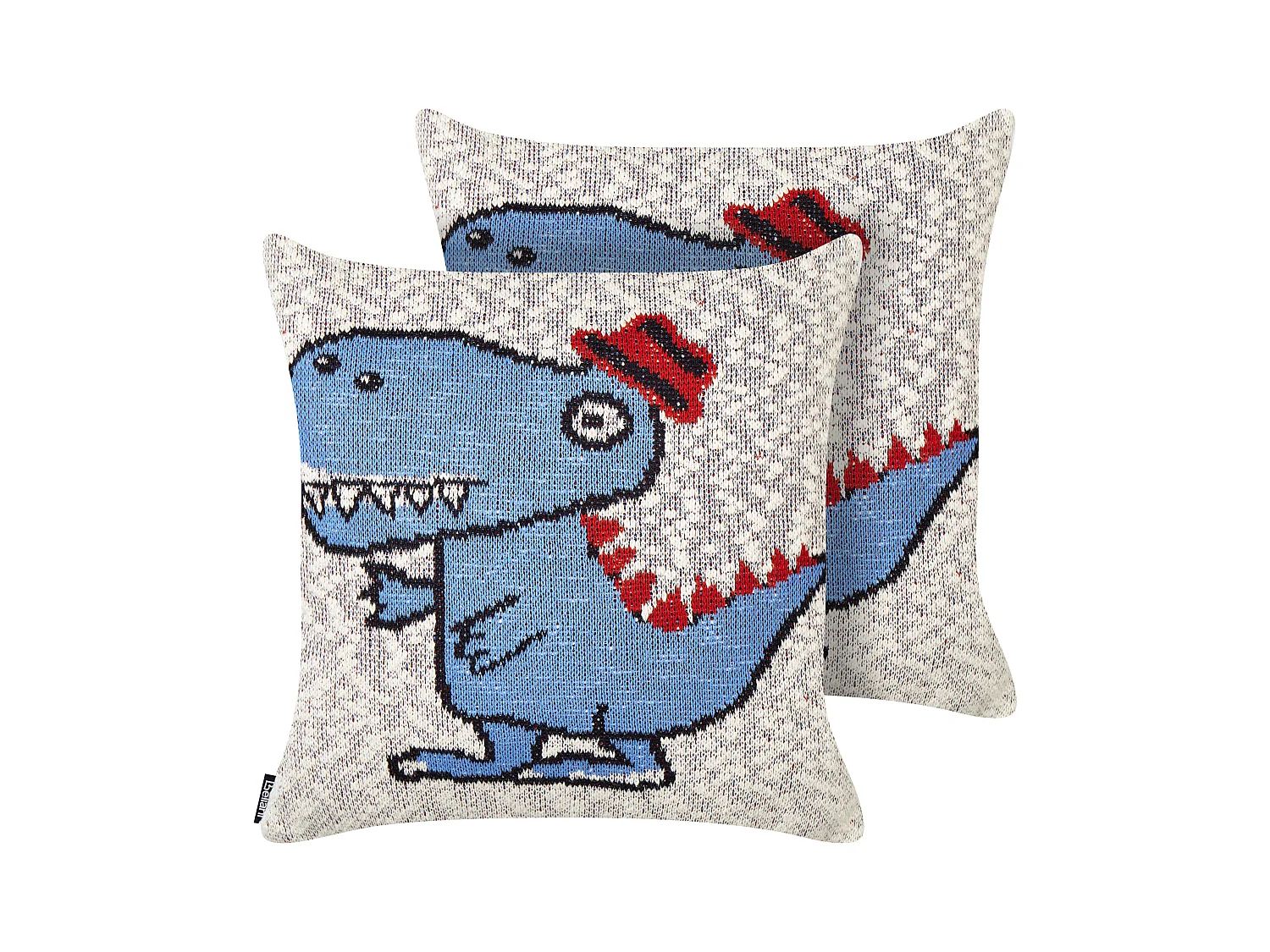 Lot de 2 coussins décoratifs GAMBIR Coton 45 x 45 cm Bleu