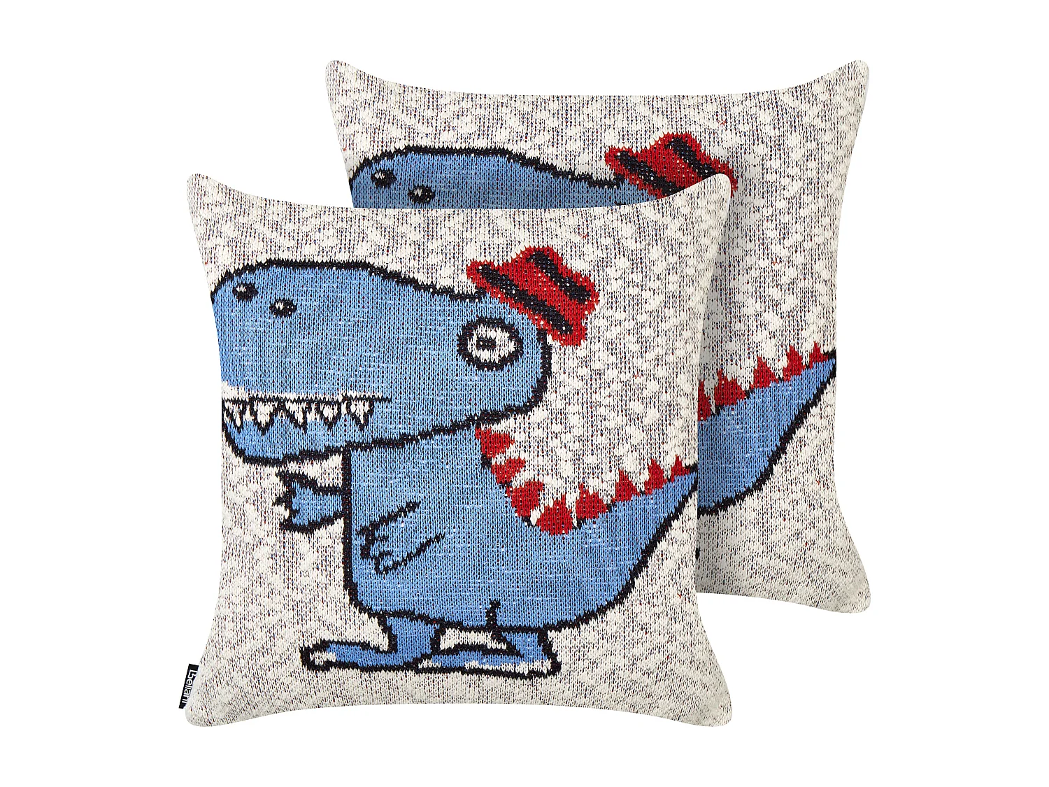 Lot de 2 coussins décoratifs GAMBIR Coton 45 x 45 cm Bleu