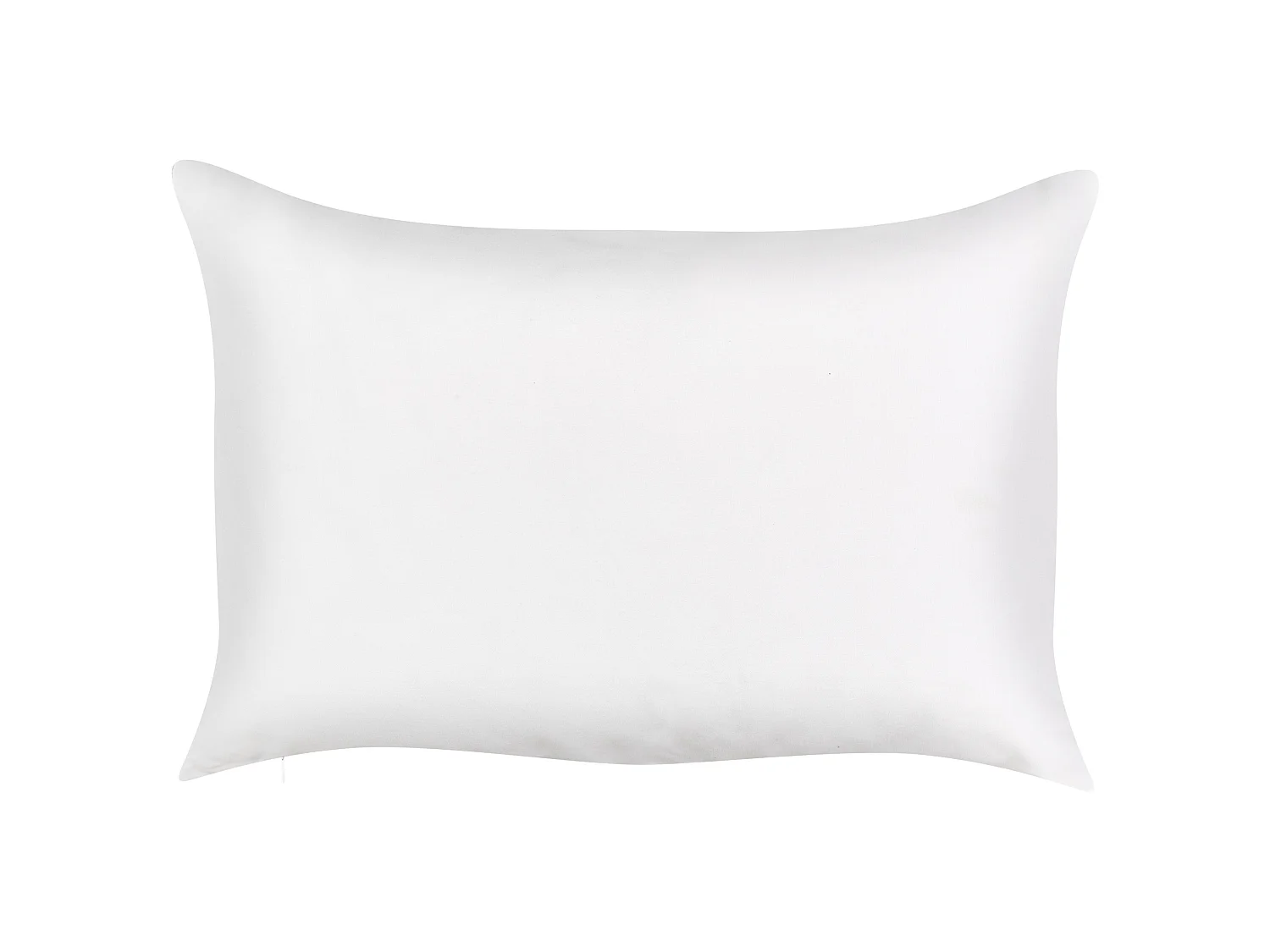 Lot de 2 coussins d'extérieur TORBORA Motif de plante 40 x 60 cm Blanc Bleu