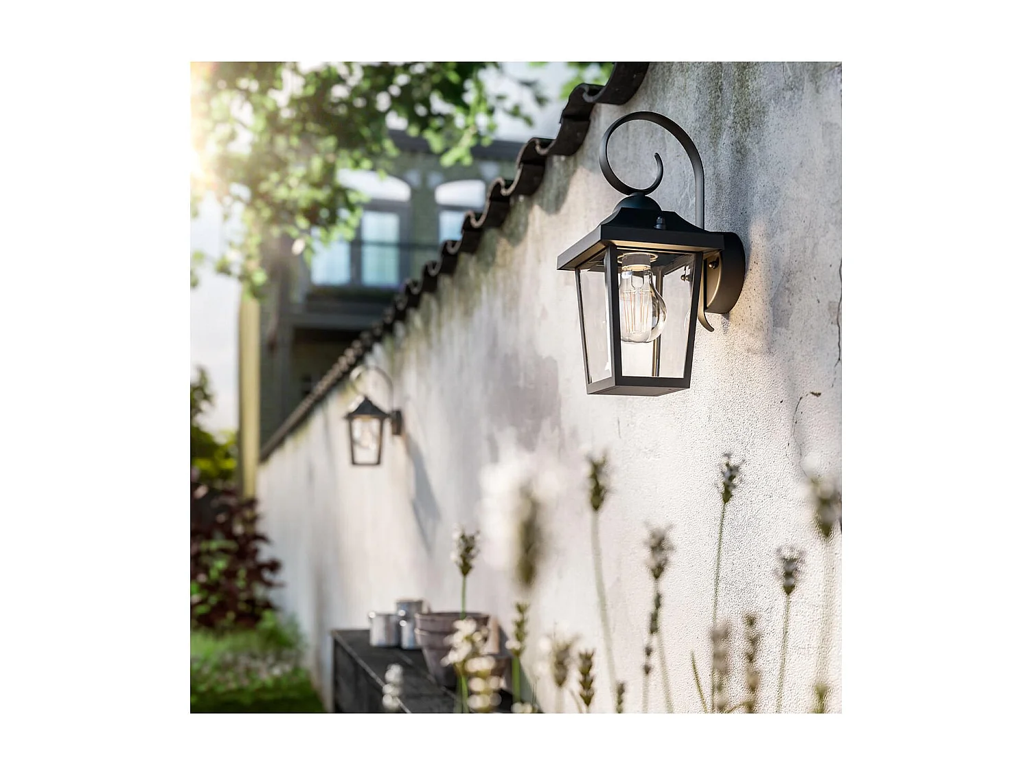 Lampe Murale  Buzzard Noir