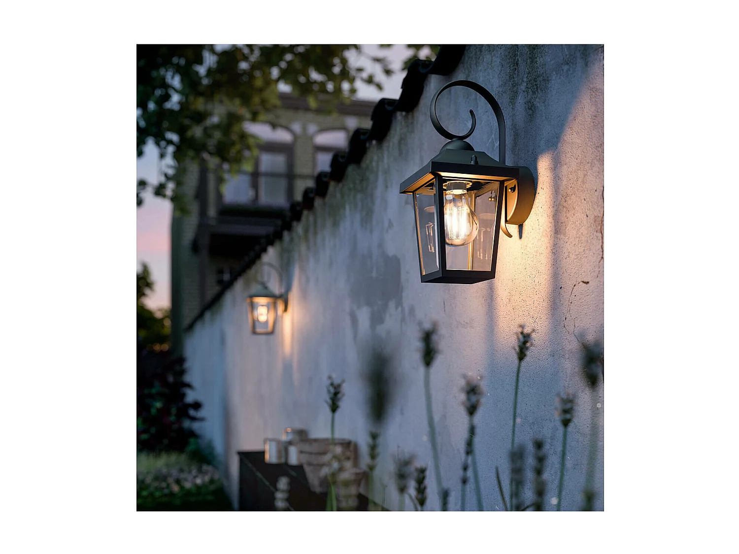 Lampe Murale  Buzzard Noir