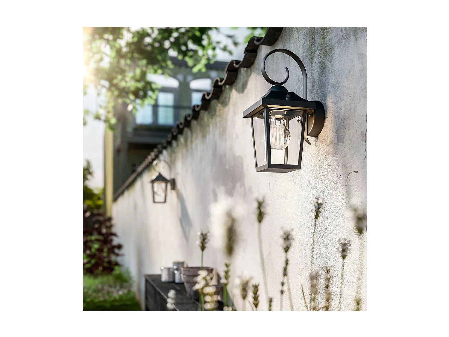 Lampe Murale  Buzzard Noir