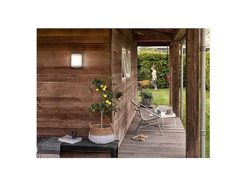 Applique Murale LED Extérieure  Antelope 6W Blanc 4000K