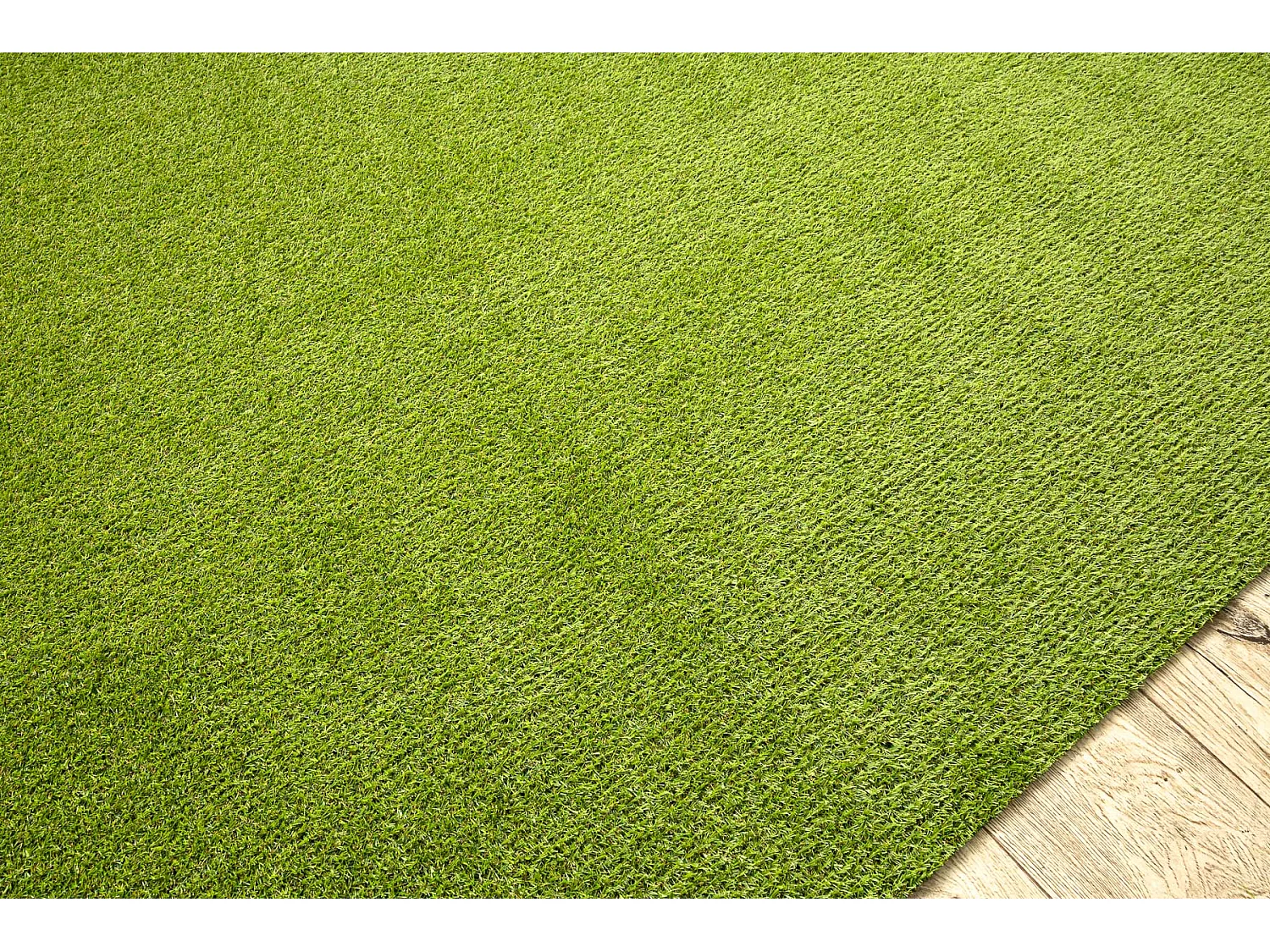 GAZON ARTIFICIEL ALVA toute taille 100x500 cm