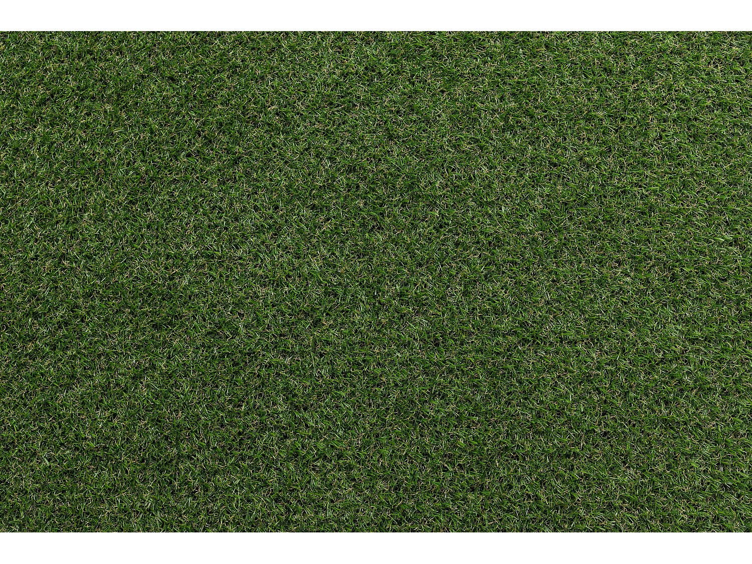 GAZON SYNTHÉTIQUE ELIT dimensions standards 100x100 cm