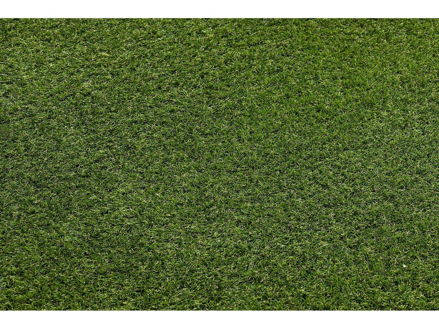 ERBA SINTETICA WOODLAND dimensioni finite 100x550 cm