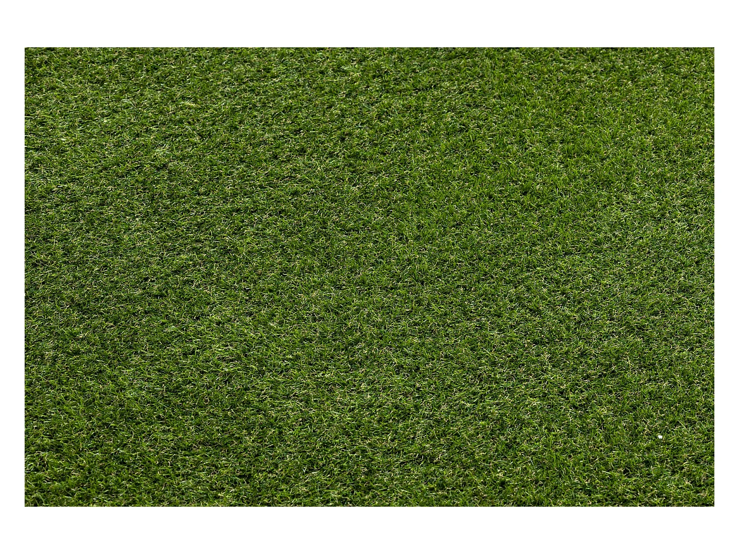 GAZON SYNTHÉTIQUE WOODLAND dimensions standards 100x600 cm