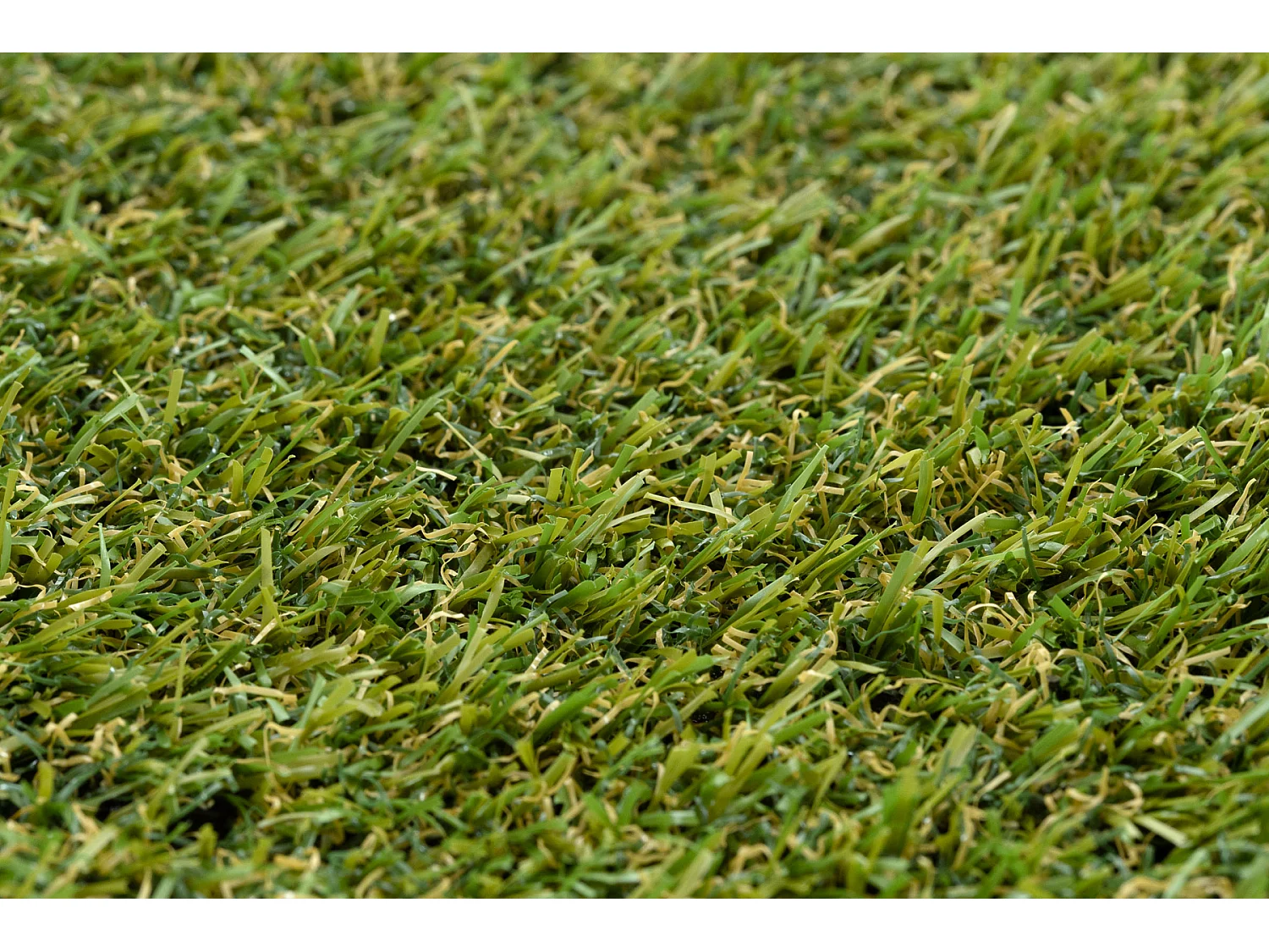 ERBA ARTIFICIALE ALVA qualsiasi dimensione 200x350 cm