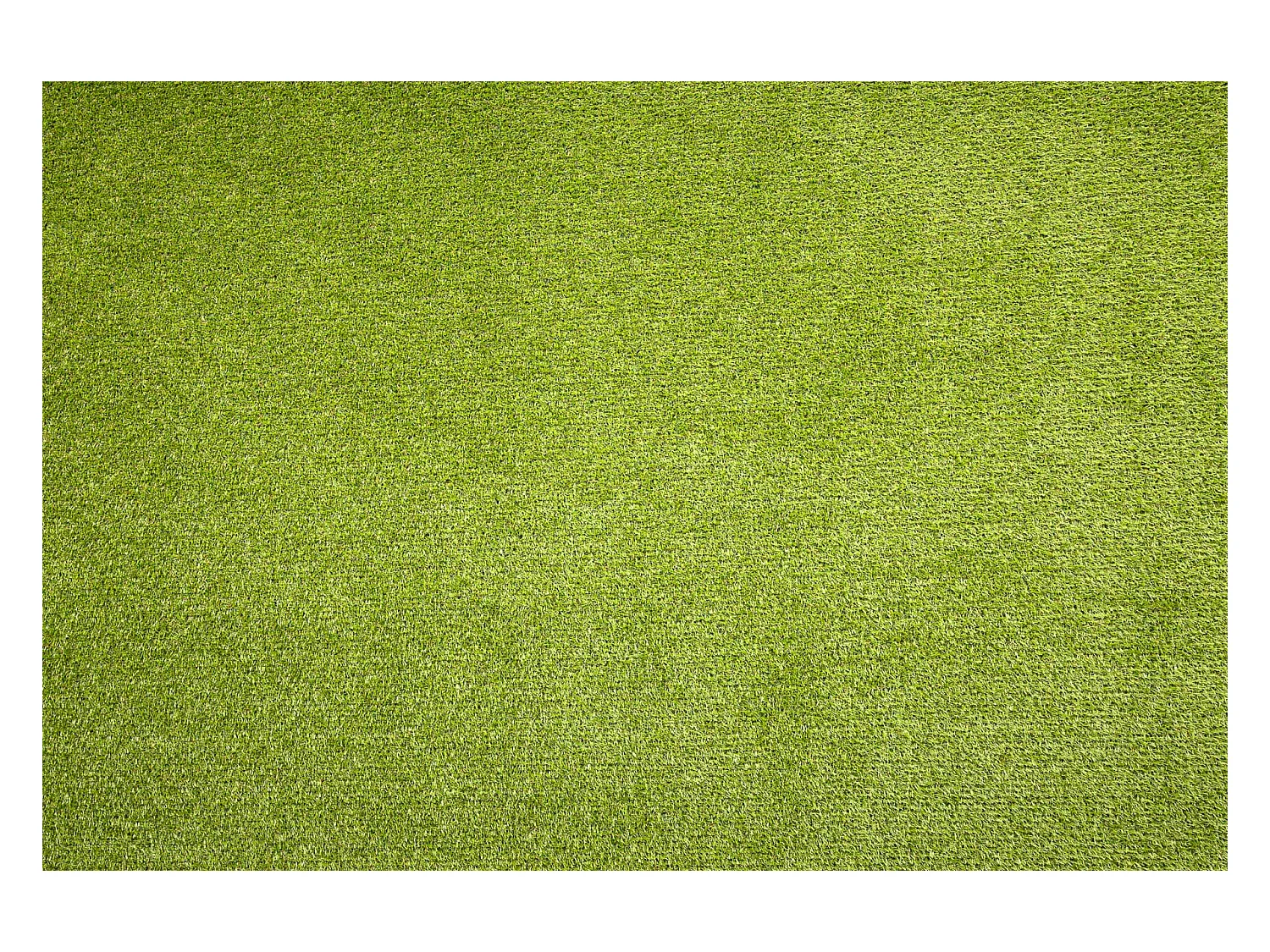 GAZON ARTIFICIEL ALVA toute taille 133x750 cm