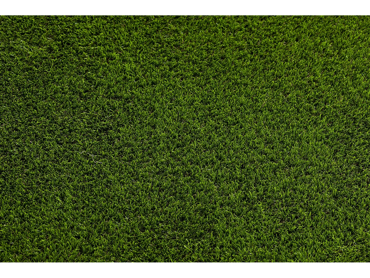 GAZON SYNTHÉTIQUE ETILE dimensions standards 250x300 cm