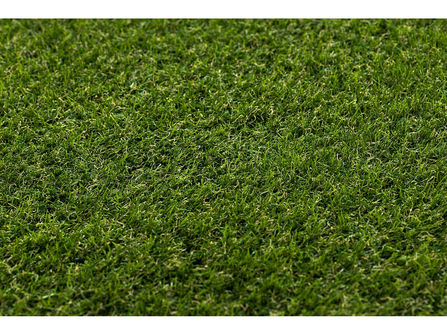 GAZON SYNTHÉTIQUE WOODLAND dimensions standards 200x650 cm