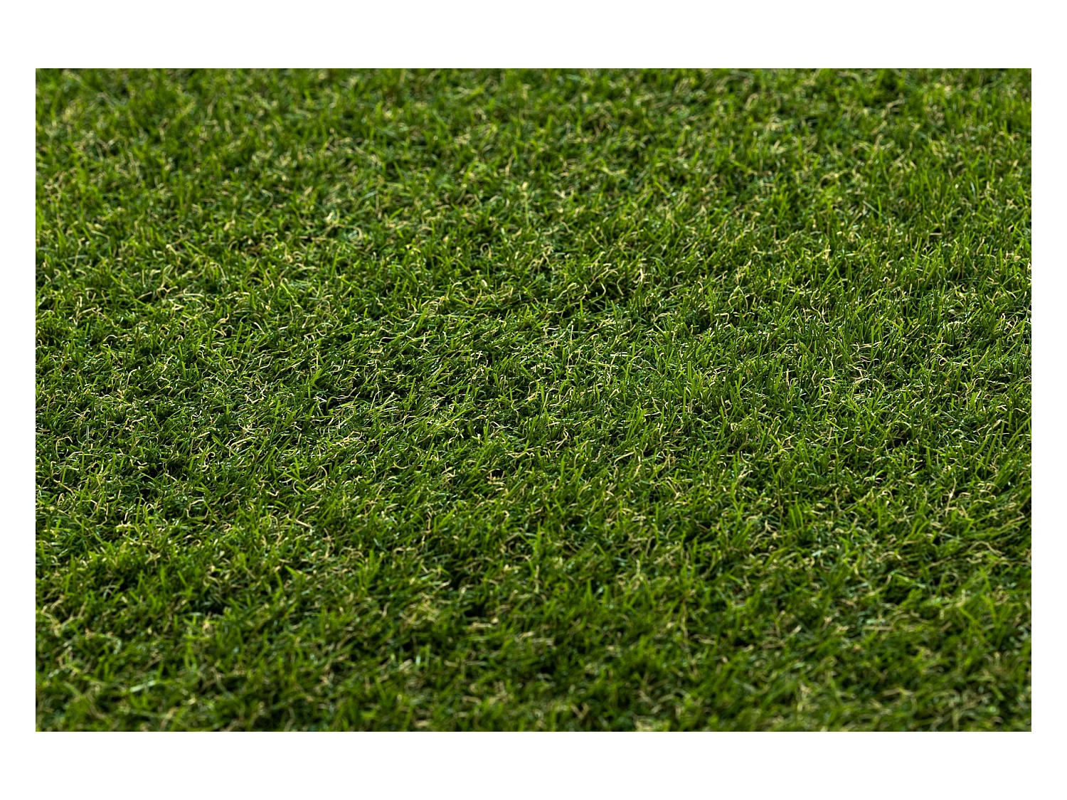 KUNSTGRAS WOODLAND select maat 200x500 cm