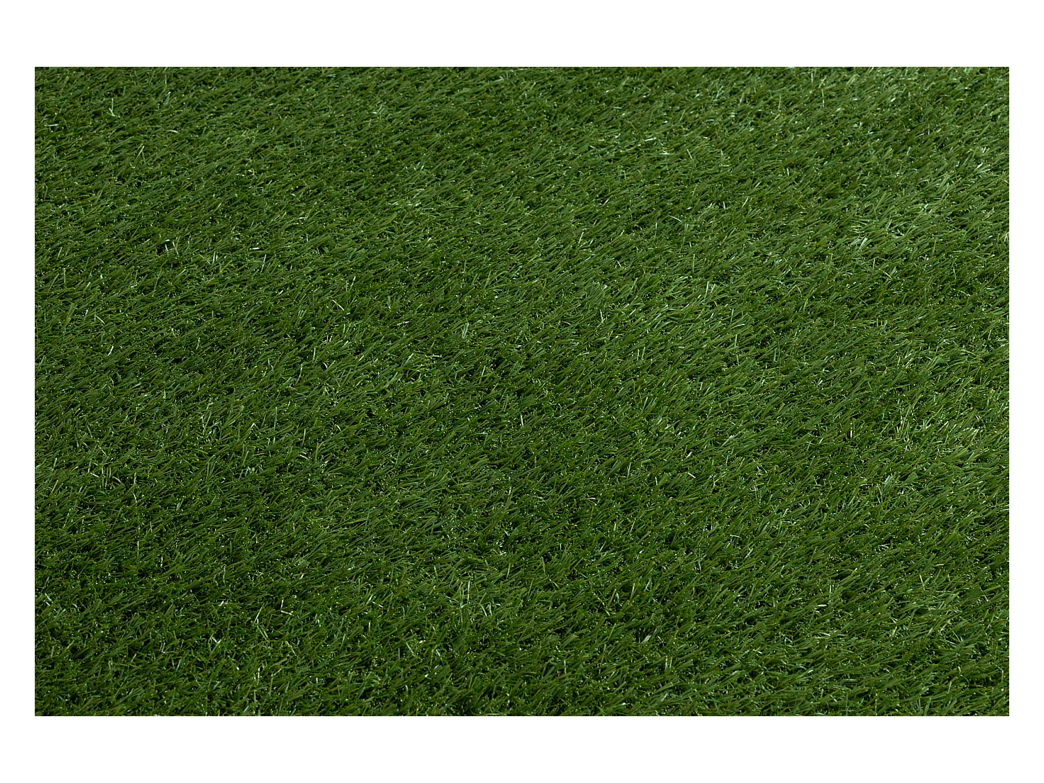 ERBA SINTETICA ORYZON Erba - dimensioni finite 200x500 cm